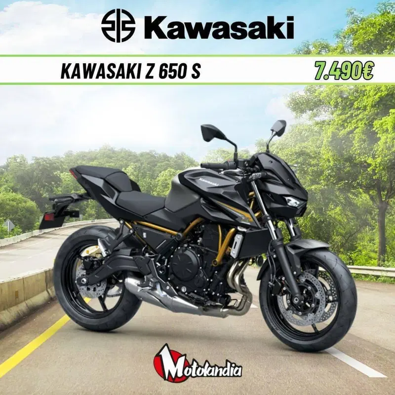 Kawasaki Z 650 S (2026)