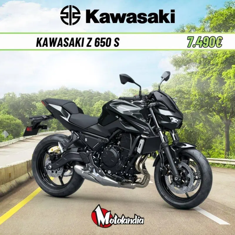 Kawasaki Z 650 S (2026)
