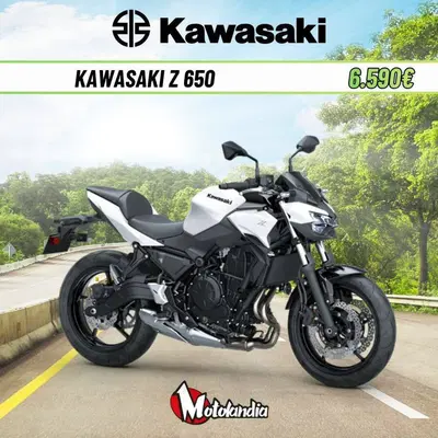Kawasaki Z 650 (2025 - 26) nuova