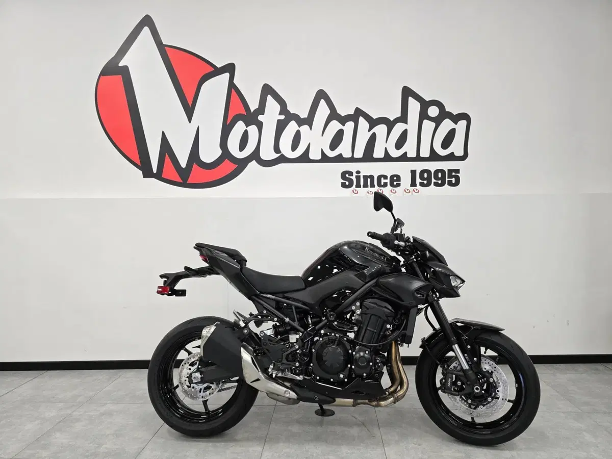 Kawasaki Z 900 (2025 - 26)