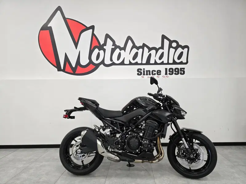 Kawasaki Z 900 (2025 - 26)