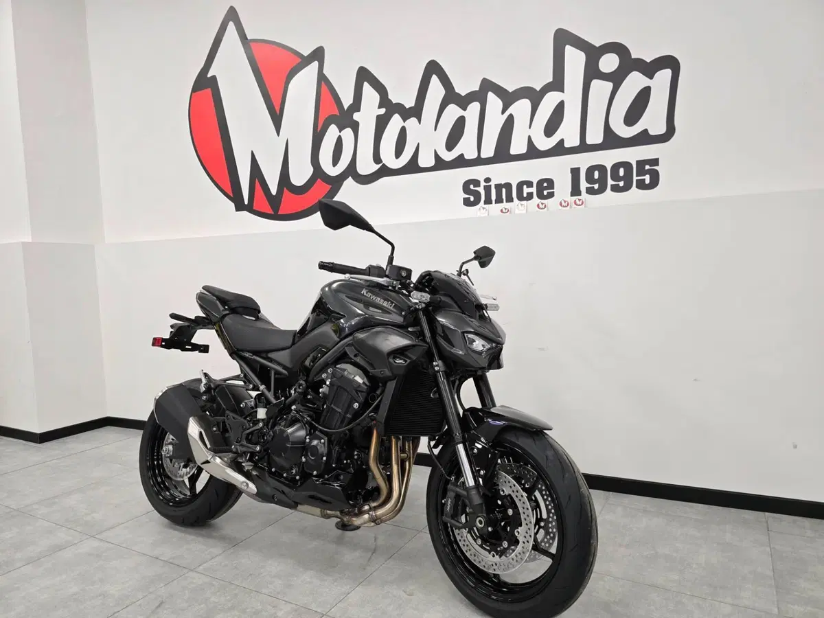Kawasaki Z 900 (2025 - 26) (2)