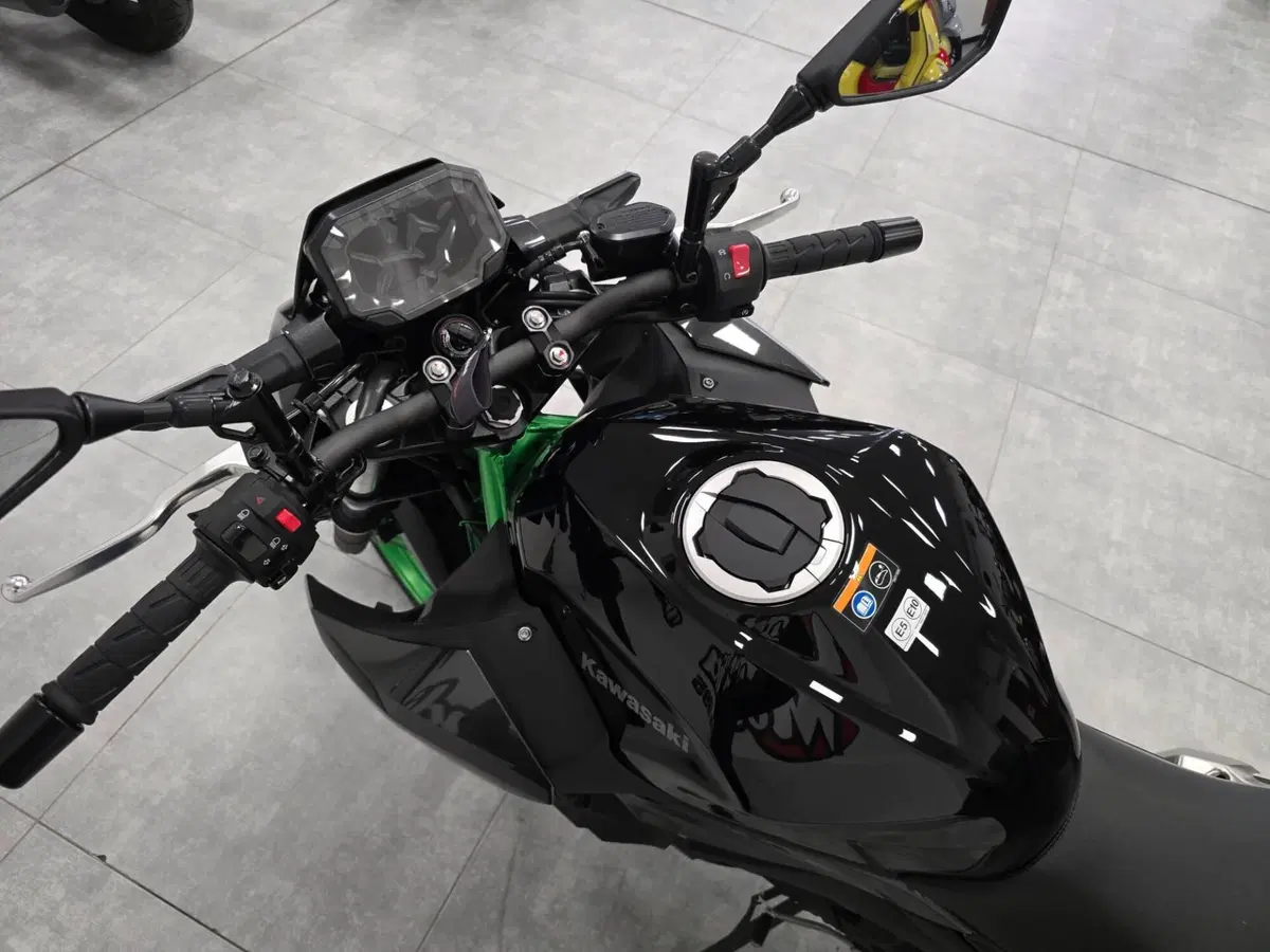 Kawasaki Z 500 SE (2024 - 26) (3)