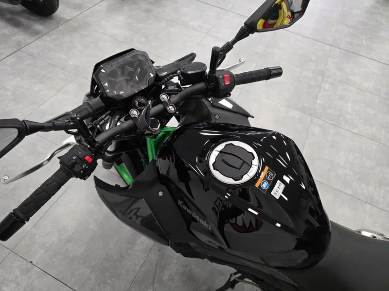 Kawasaki Z 500 SE (2024 - 26) (3)