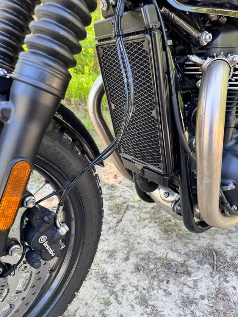Triumph Bonneville T100 (2021 - 25) (13)