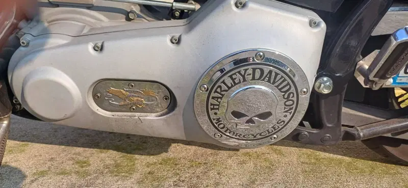 Harley-Davidson 1450 Standard (2002 - 05) - FXSTI (8)