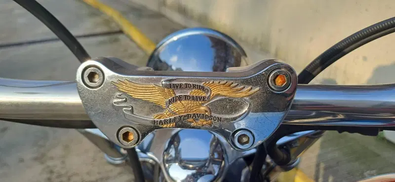 Harley-Davidson 1450 Standard (2002 - 05) - FXSTI (11)