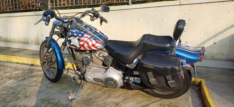 Harley-Davidson 1450 Standard (2002 - 05) - FXSTI (2)