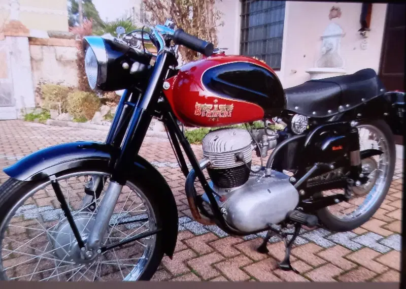 Bianchi Tonale 175 (3)