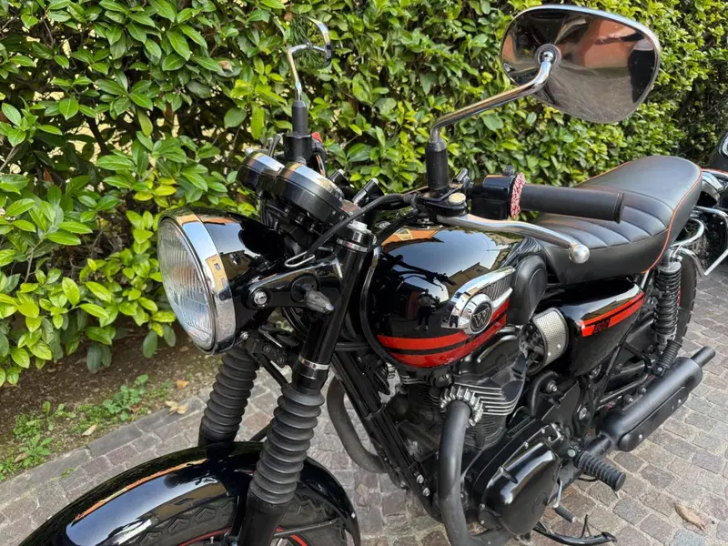 Kawasaki W 800 (2010 - 17) (6)