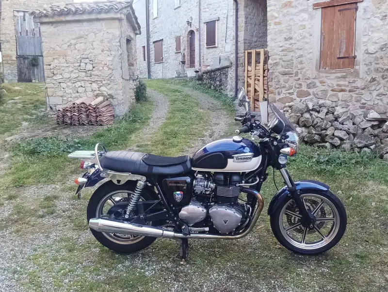 Triumph Bonneville SE (2009 - 13) (3)