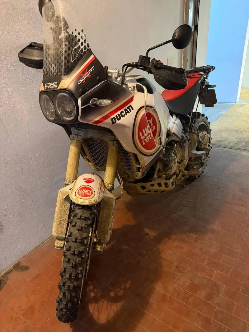 Ducati DesertX (2022 - 25) (4)