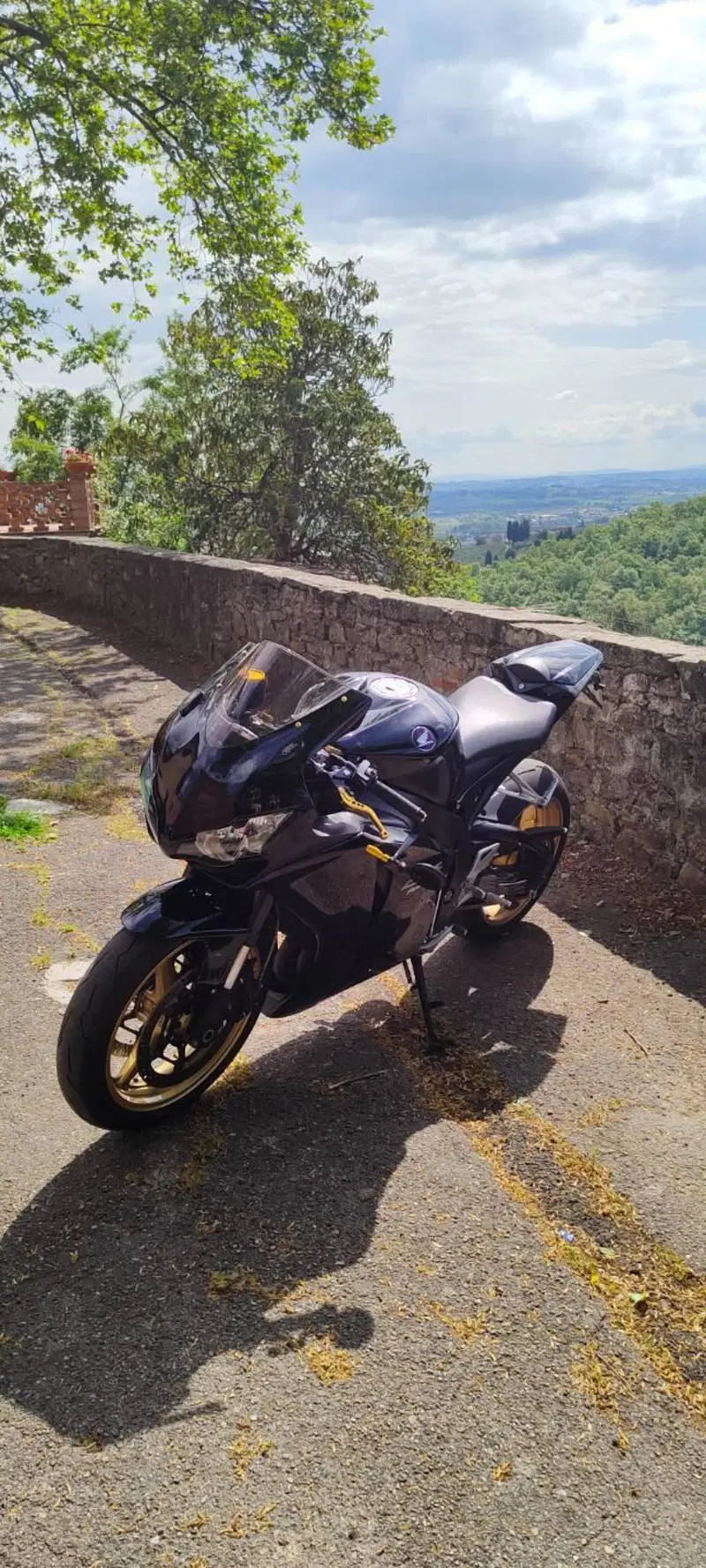 Honda CBR 1000 RR Fireblade (2008 - 11) (8)