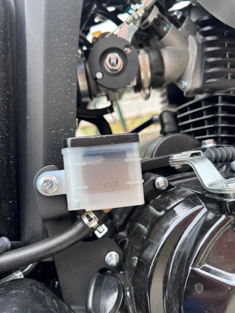 Um Italia Renegade Sport 125 (2023 - 26) (4)