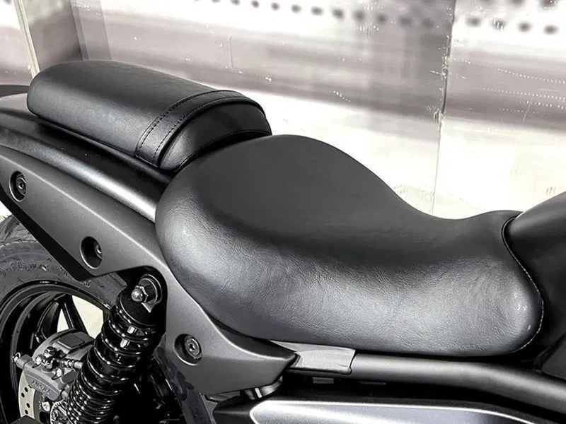 Kawasaki Eliminator 500 (2024 - 26) (4)