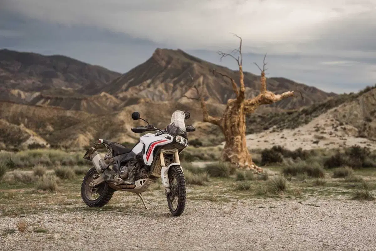 Ducati DesertX 2026: è tutta nuova! Com'è fatta e come cambia la adventure bolognese (16)