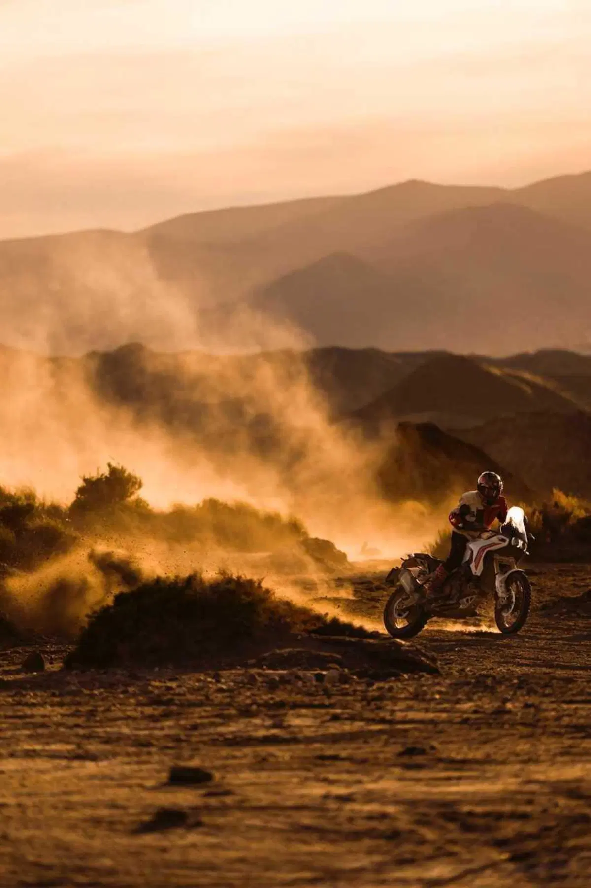 Ducati DesertX 2026: è tutta nuova! Com'è fatta e come cambia la adventure bolognese (74)