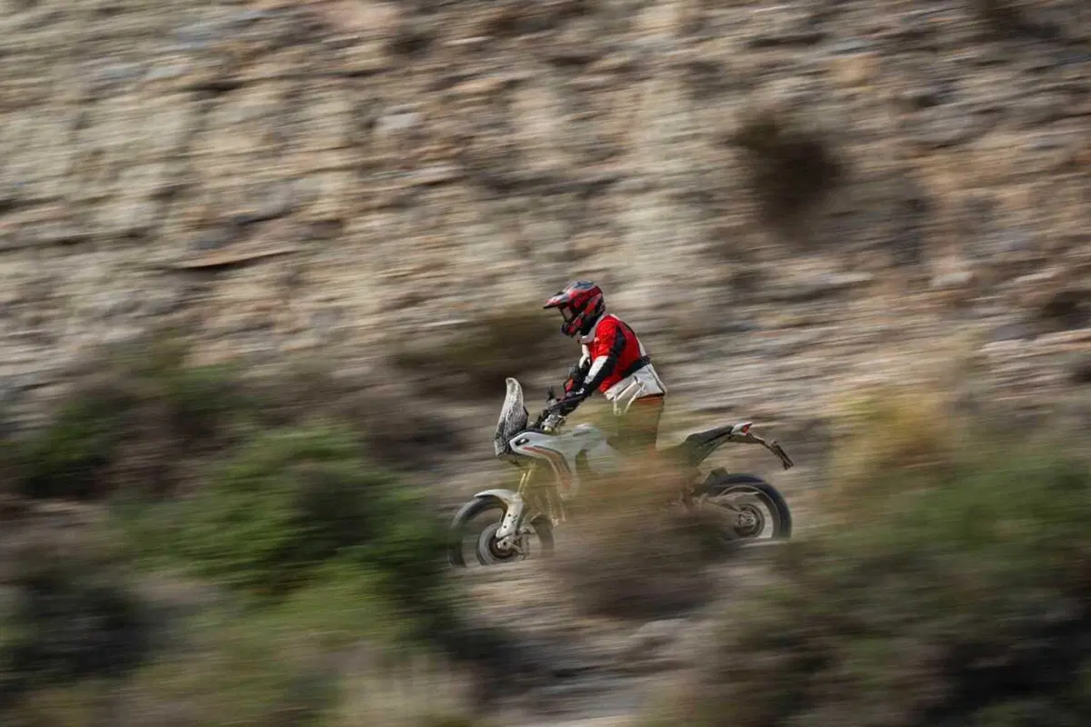Ducati DesertX 2026: è tutta nuova! Com'è fatta e come cambia la adventure bolognese (84)
