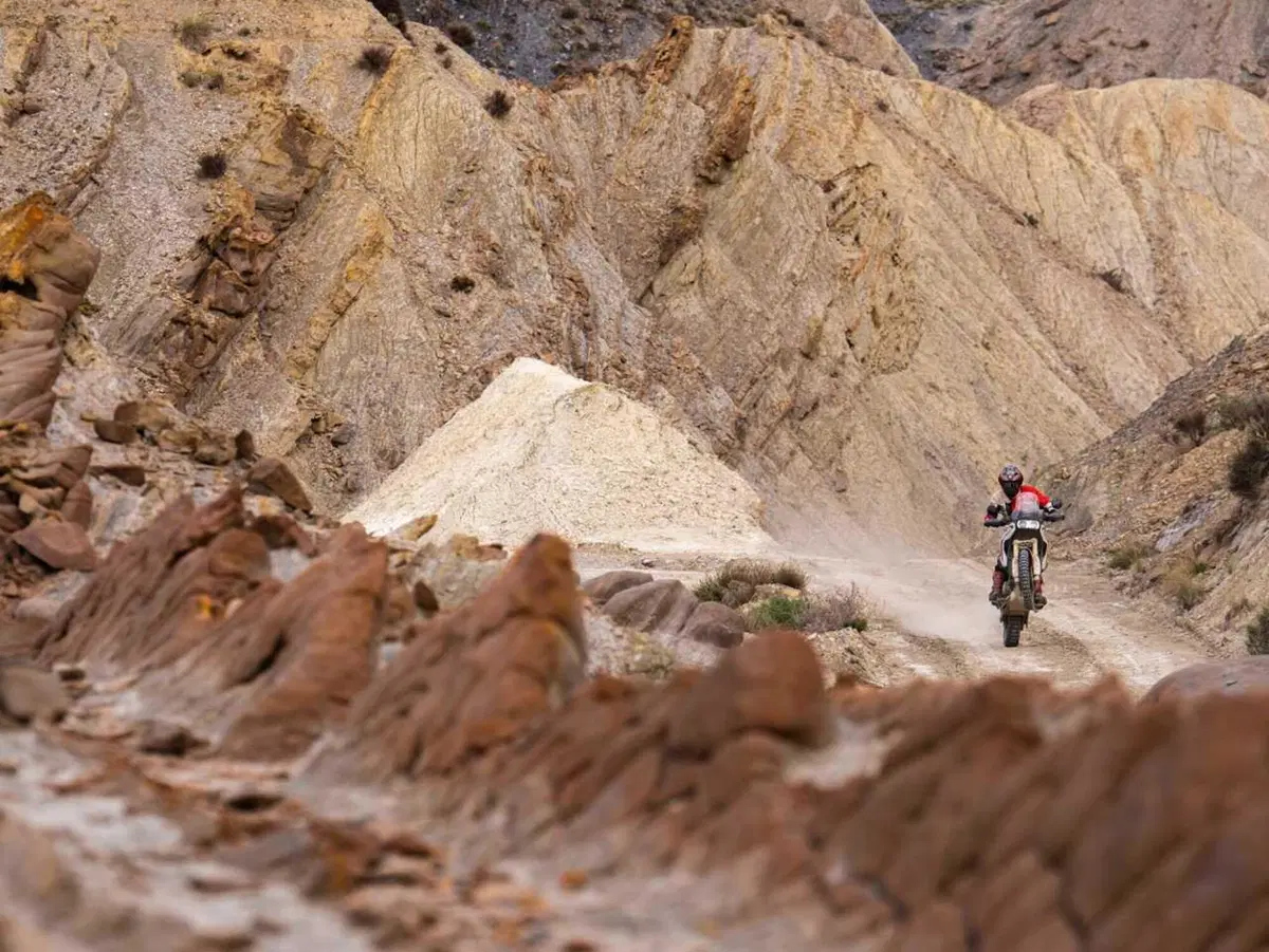 Ducati DesertX 2026: è tutta nuova! Com'è fatta e come cambia la adventure bolognese (105)
