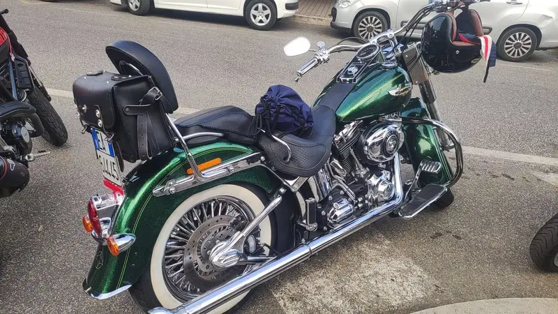 Harley-Davidson 1690 Deluxe ABS (2011 - 16) - FLSTN (10)