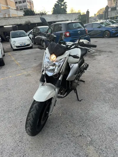 Yamaha XJ 600 S Diversion (1992 - 02) usata