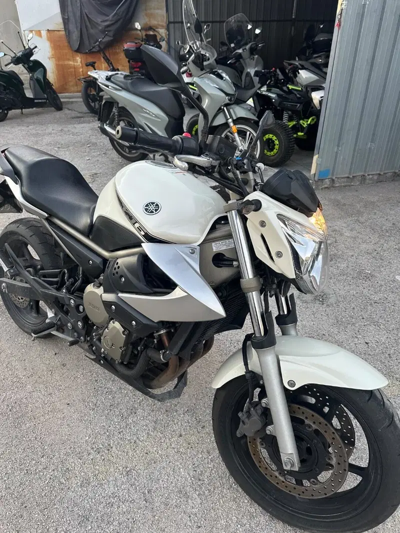 Yamaha XJ 600 S Diversion (1992 - 02) (8)