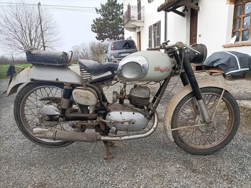 Bianchi Cervino 174 2 T (3)