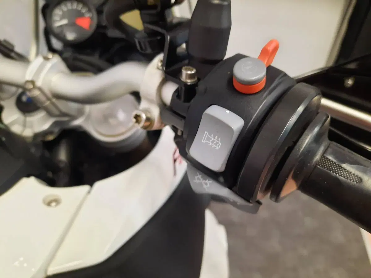 Bmw F 800 GS (2008 - 15) (10)