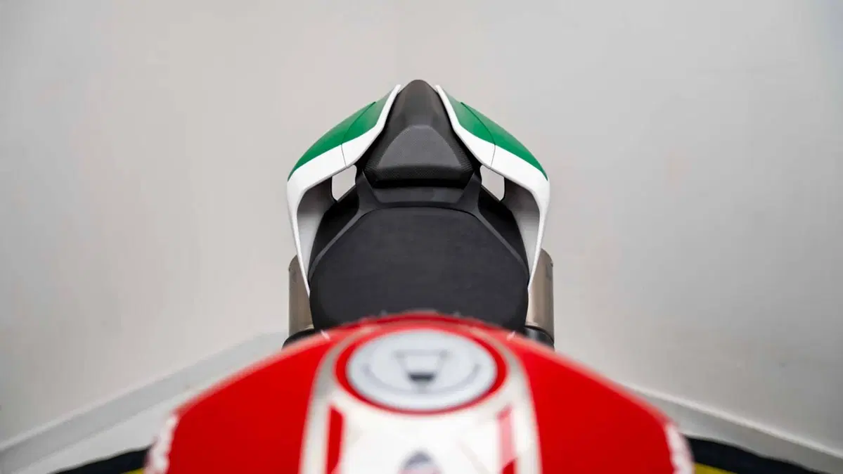 Ducati 1299 Panigale R Final Edition (2017 - 20) (16)