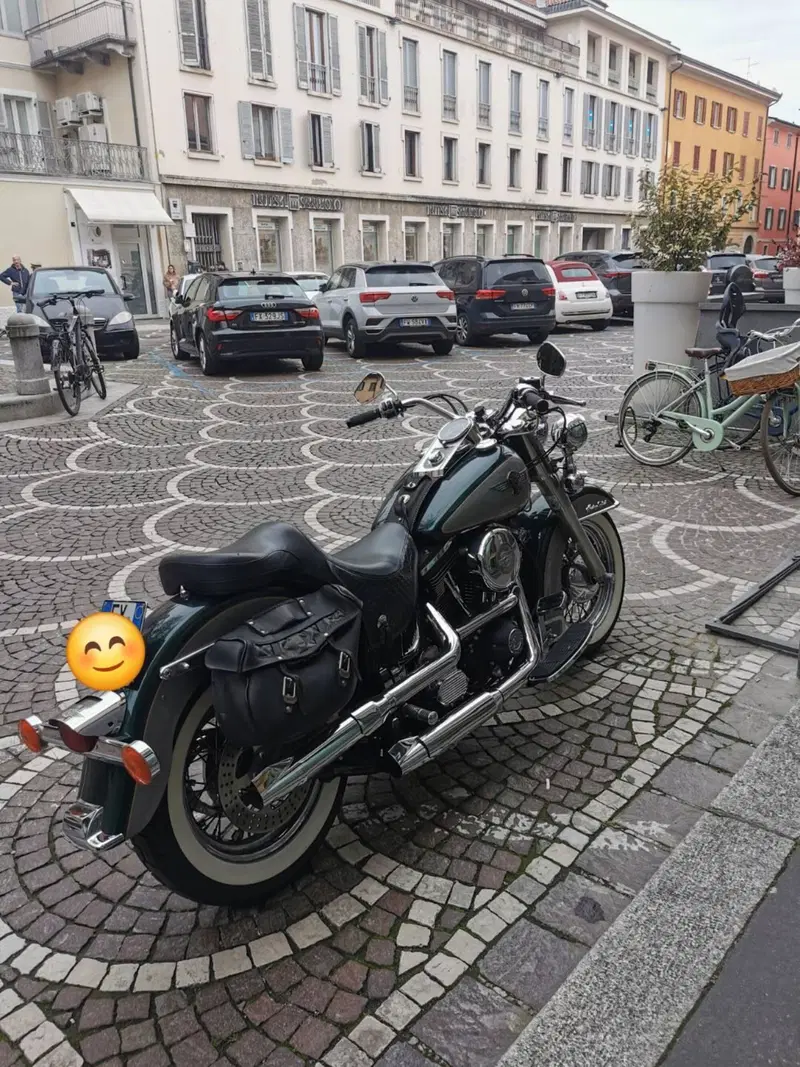 Harley-Davidson 1340 Heritage Special (1993 - 96) (5)