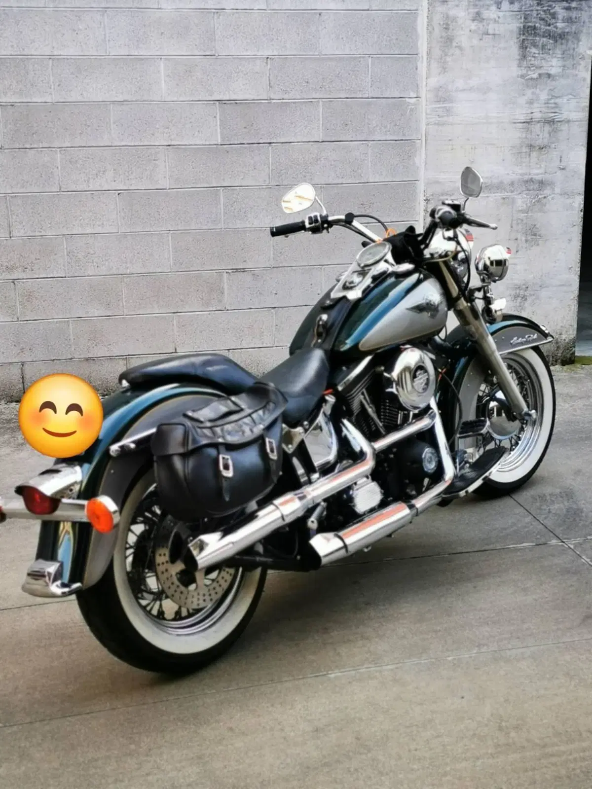 Harley-Davidson 1340 Heritage Special (1993 - 96) (15)