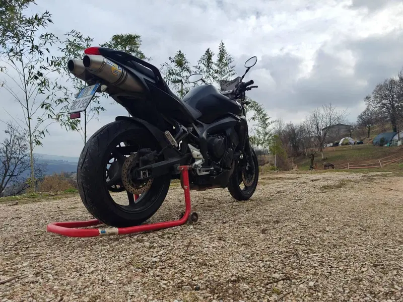 Yamaha FZ6 S2 (2007 - 11) (6)
