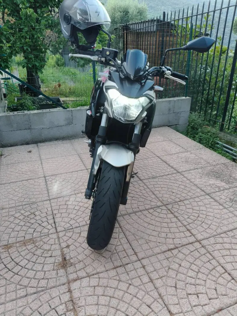 Kawasaki Z 650 (2017 - 19) (3)