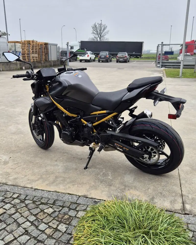 Kawasaki Z 900 (2025 - 26) (4)