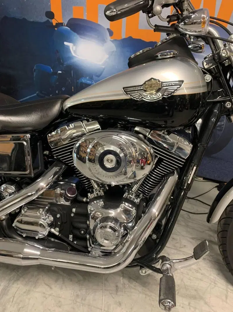 Harley-Davidson 1450 Low Rider (1999 - 03) - FXDL (4)