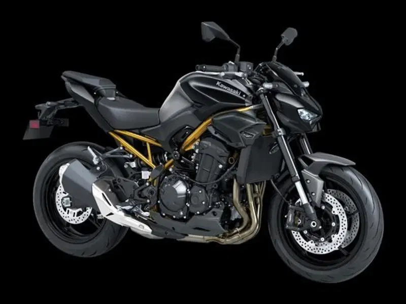 Kawasaki Z 900 (2025 - 26)