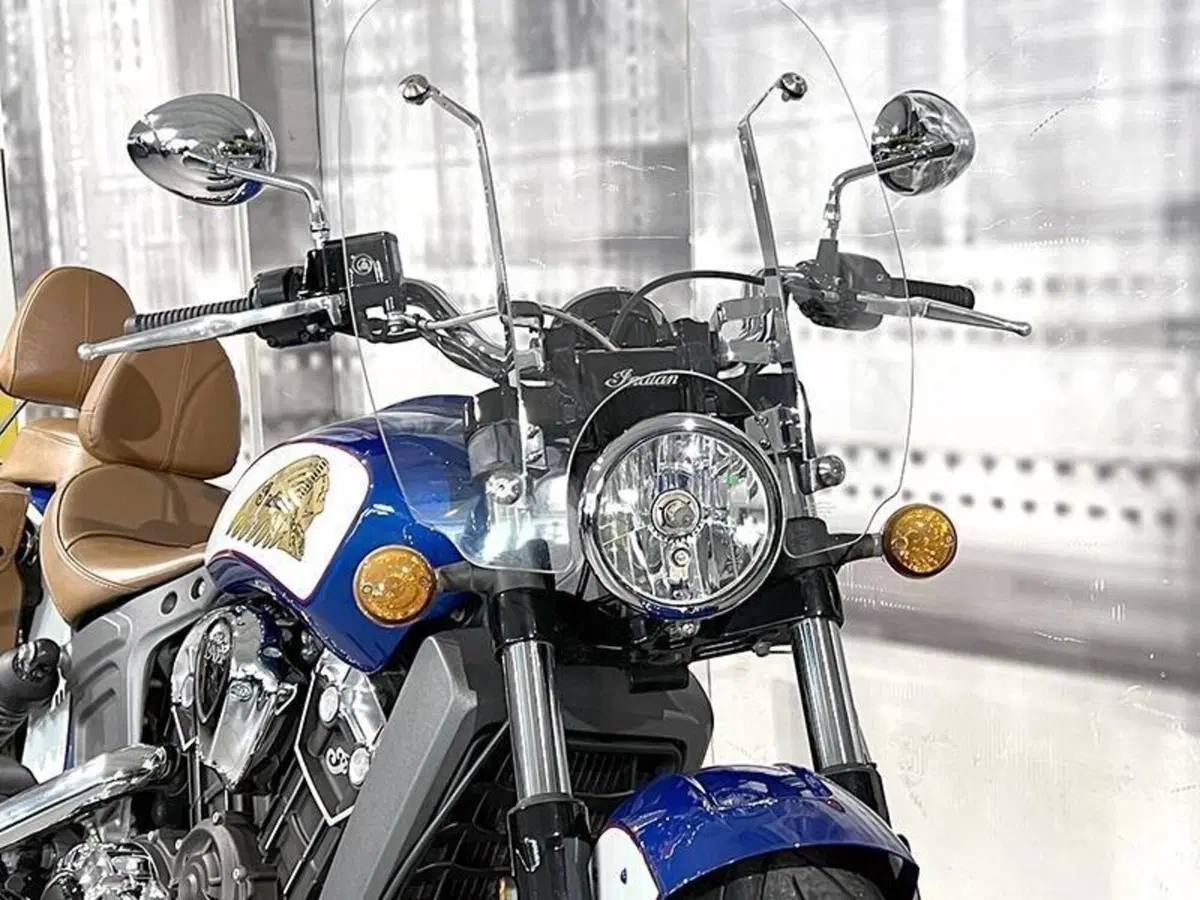 Indian Scout 1133 (2017 - 19) (3)