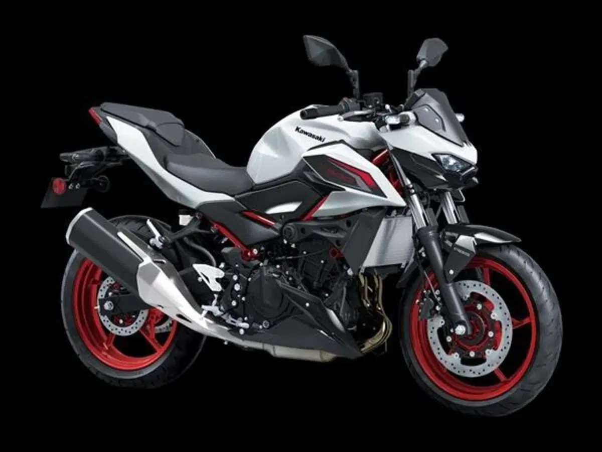 Kawasaki Z 500 SE (2024 - 26)