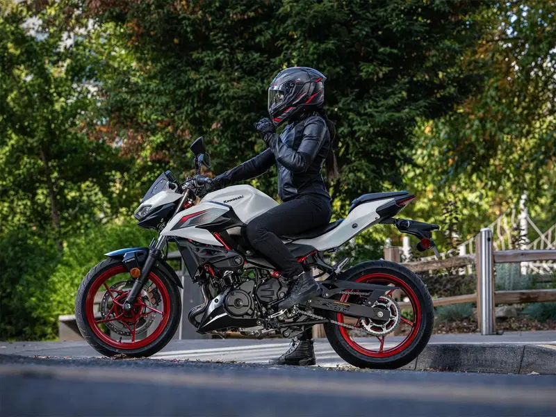 Kawasaki Z 500 SE (2024 - 26) (2)