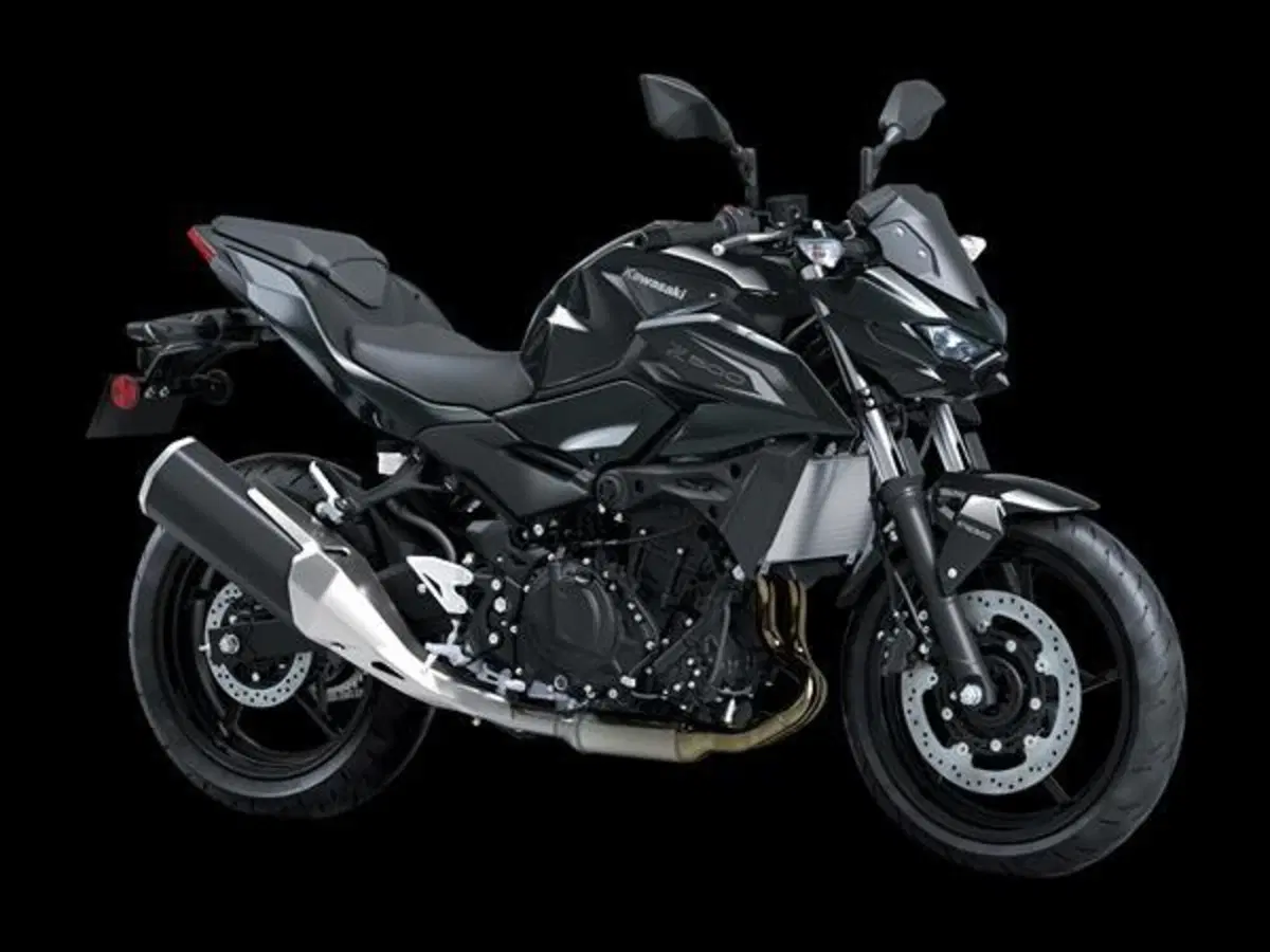 Kawasaki Z 500 (2024 - 26)