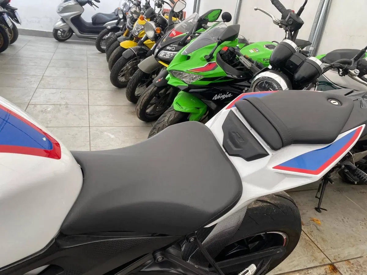 Bmw S 1000 R (2017 - 20) (13)
