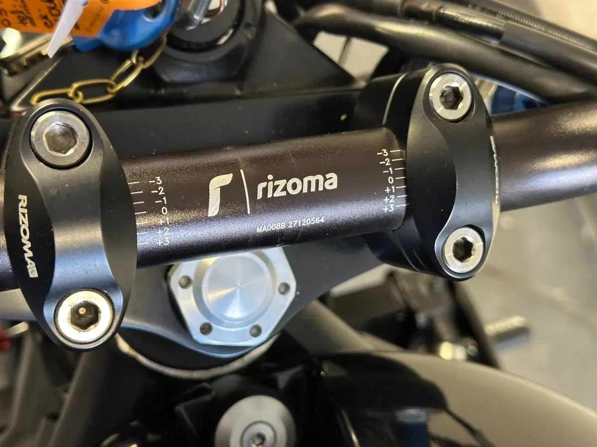 Triumph Speed Triple 1050 (2005 - 11) (4)