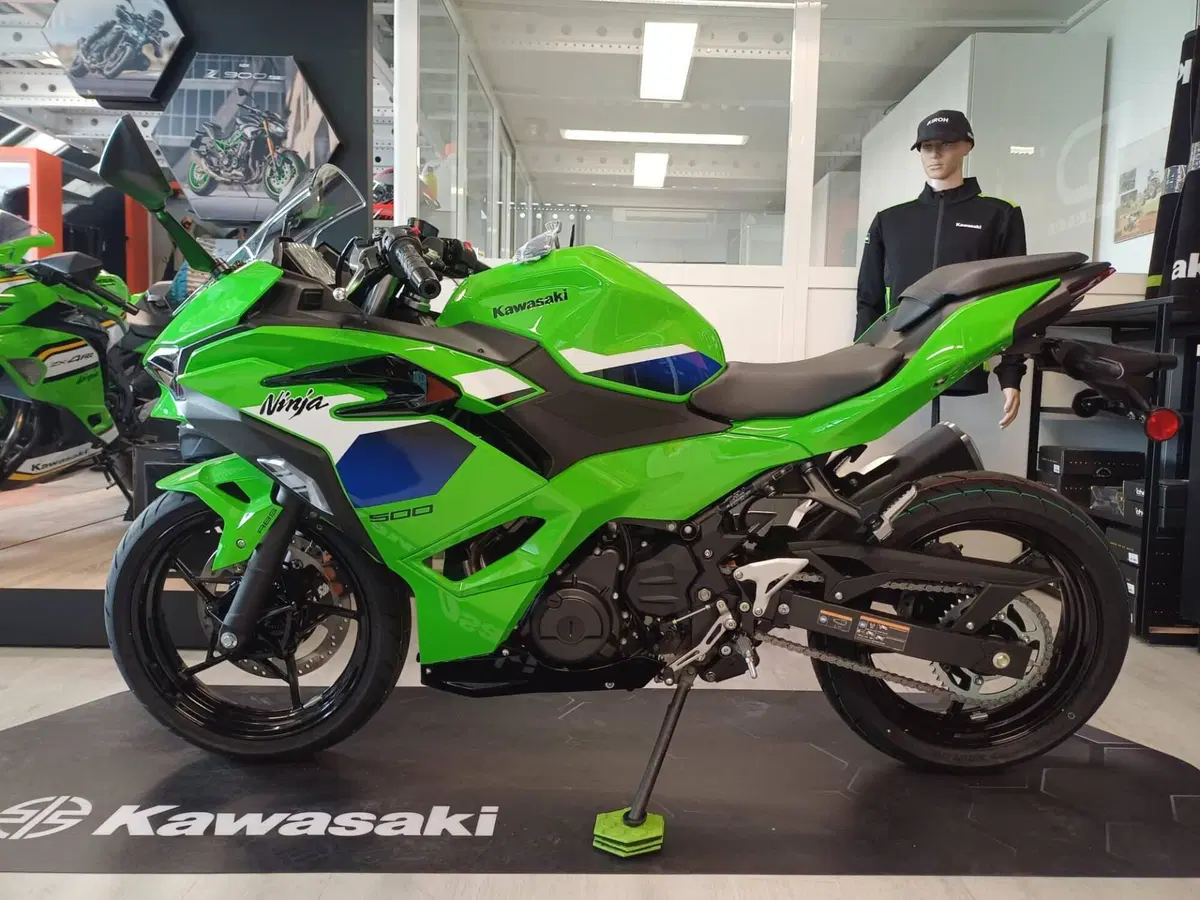 Kawasaki Ninja 500 SE (2024 - 26) (2)