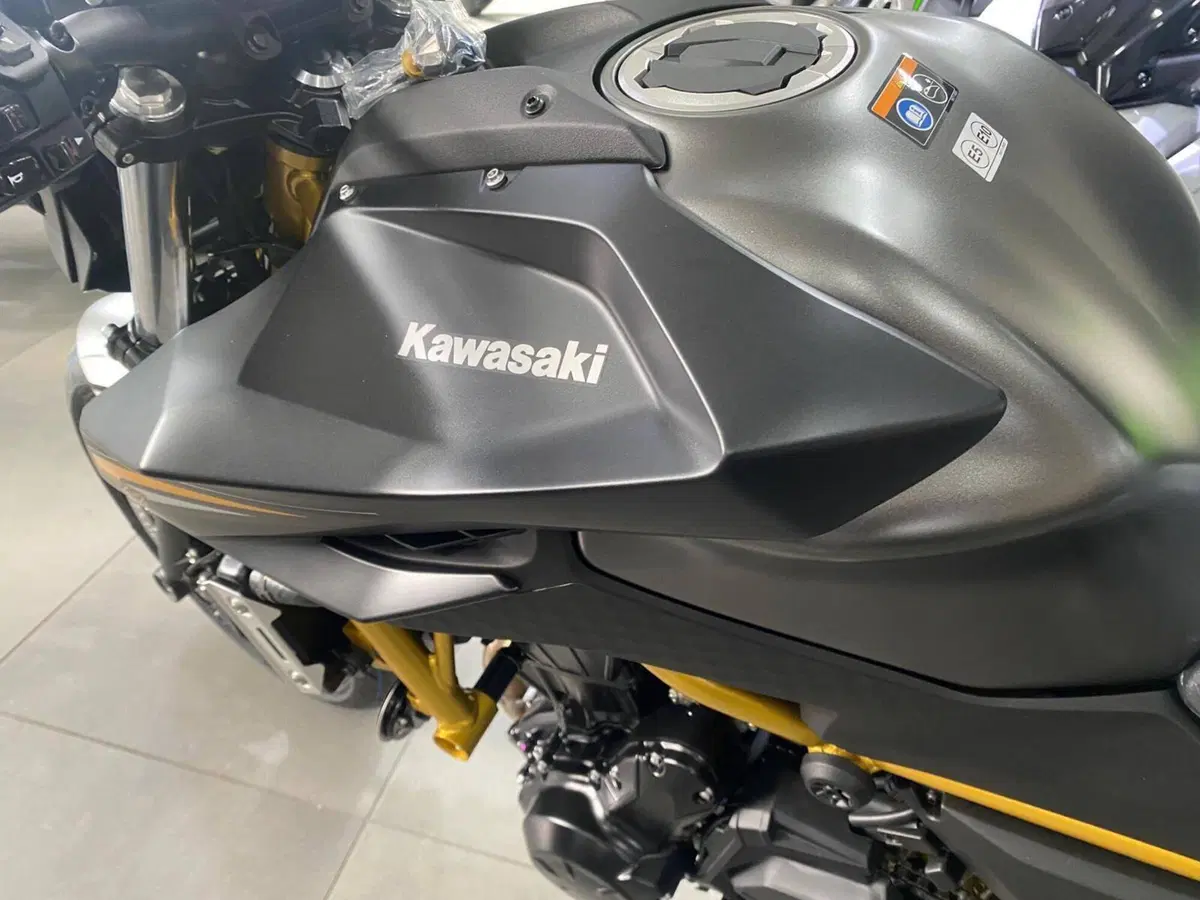 Kawasaki Z 650 S (2026) (9)