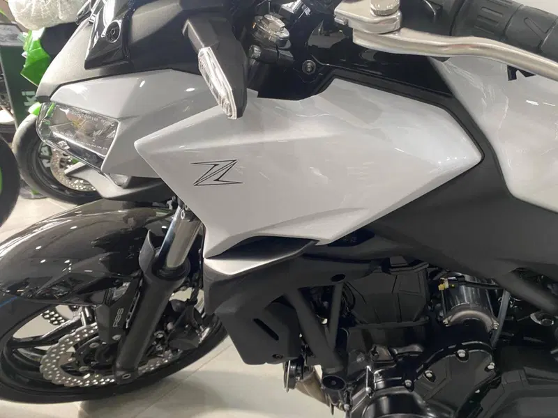Kawasaki Z 650 (2025 - 26) (4)