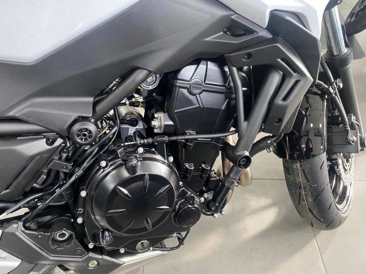 Kawasaki Z 650 (2025 - 26) (6)