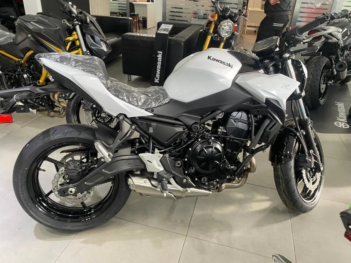 Kawasaki Z 650 (2025 - 26) (2)