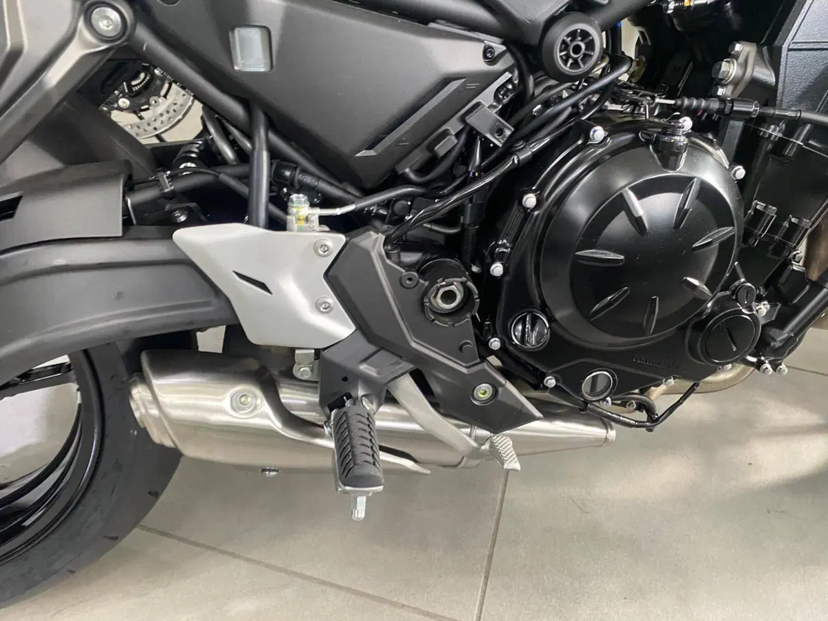 Kawasaki Z 650 (2025 - 26) (7)