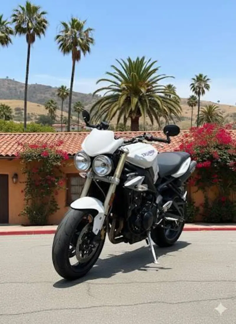 Triumph Street Triple (2007 - 12)