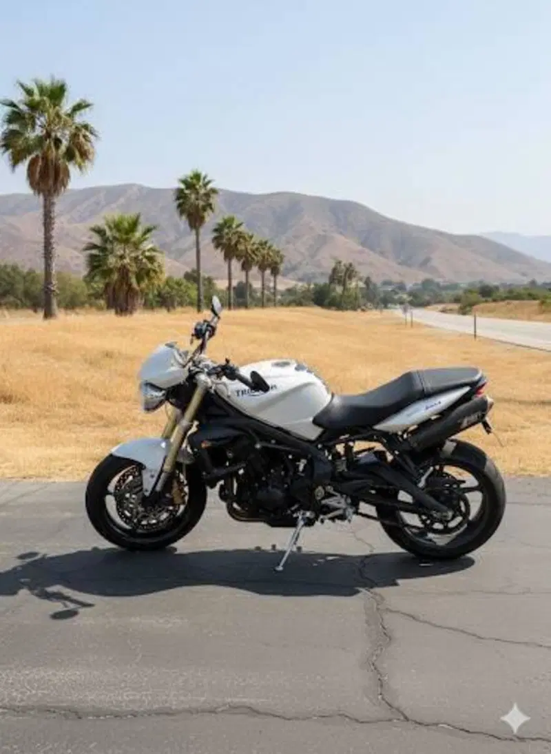 Triumph Street Triple (2007 - 12) (2)